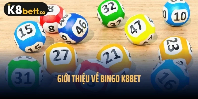 Giới thiệu về Bingo k8bet