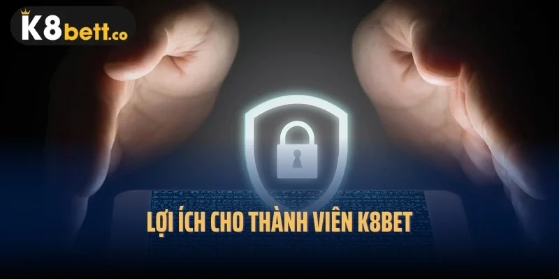 Lợi ích cho thành viên K8bet
