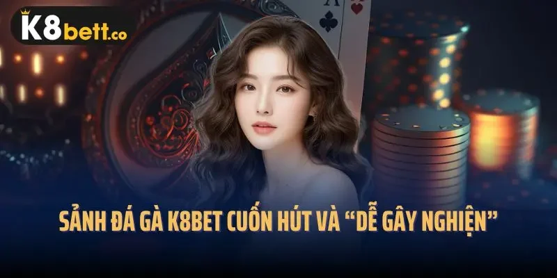 Sảnh đá gà K8bet cuốn hút và “dễ gây nghiện”